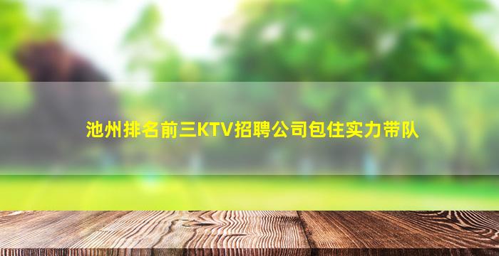 池州排名前三KTV招聘公司包住实力带队